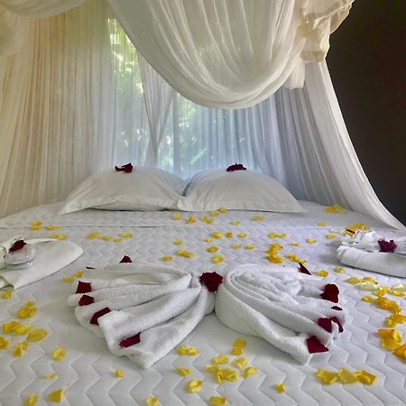 Eden Paradise Ecolodge & Spa Sainte-Luce Habitación foto