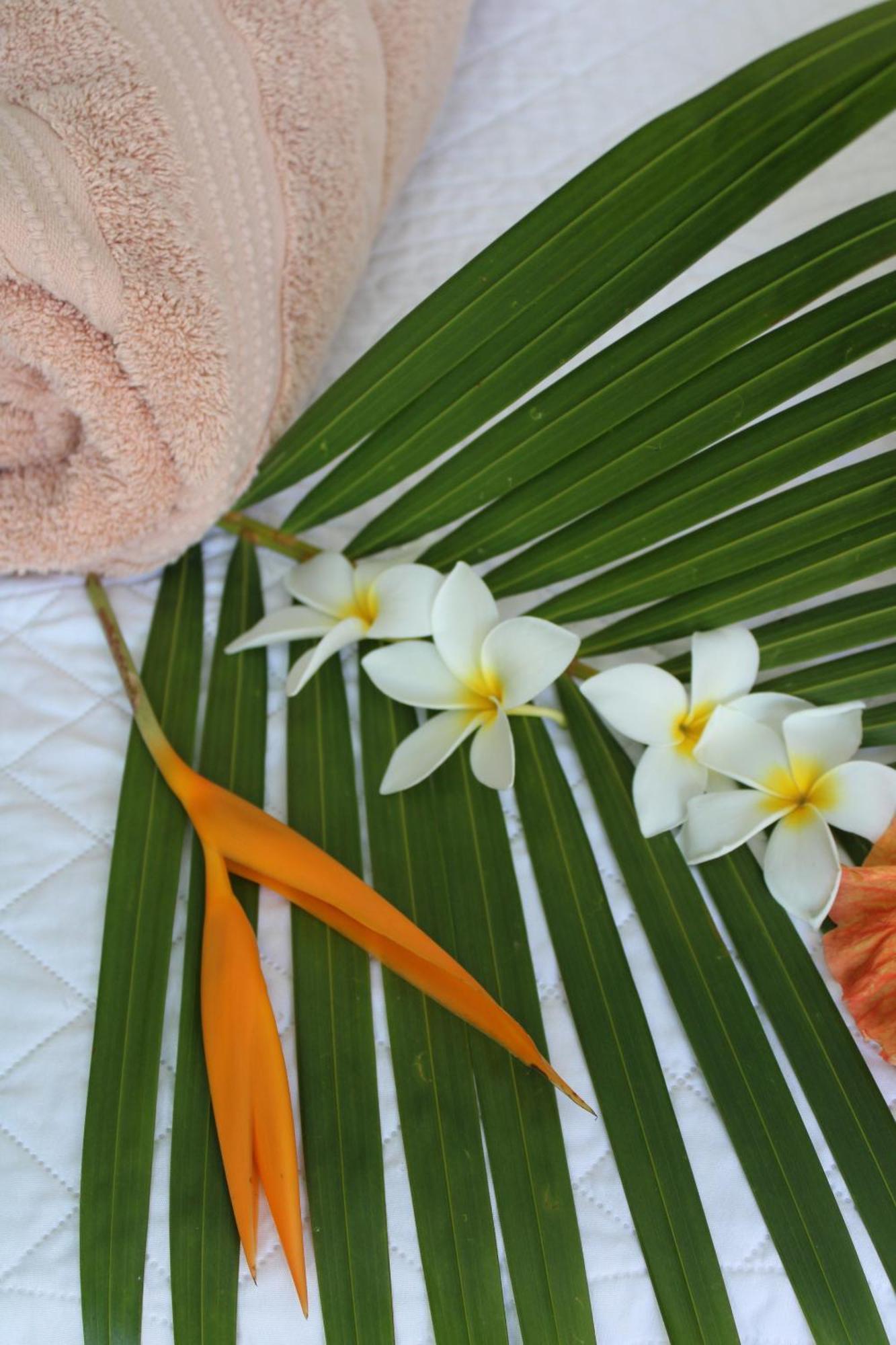 Eden Paradise Ecolodge & Spa Sainte-Luce Habitación foto